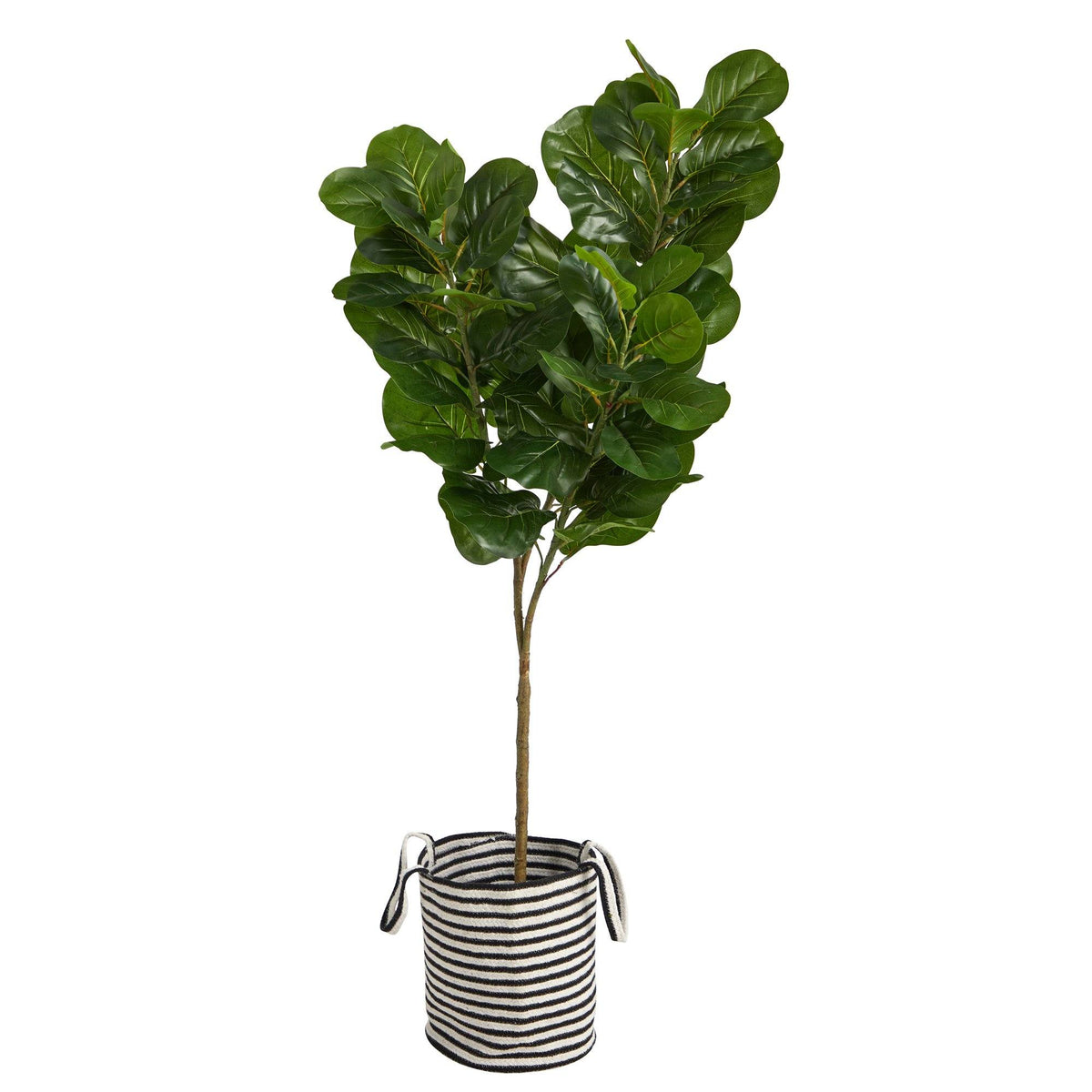 a plant in a pot