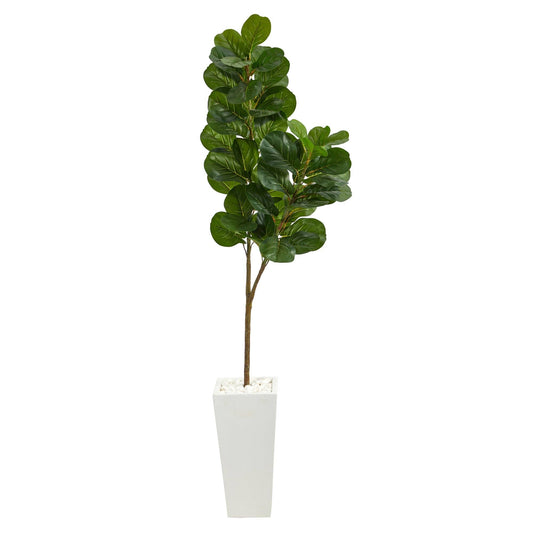 a plant in a white pot