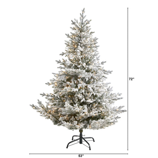 a tall christmas tree with lights