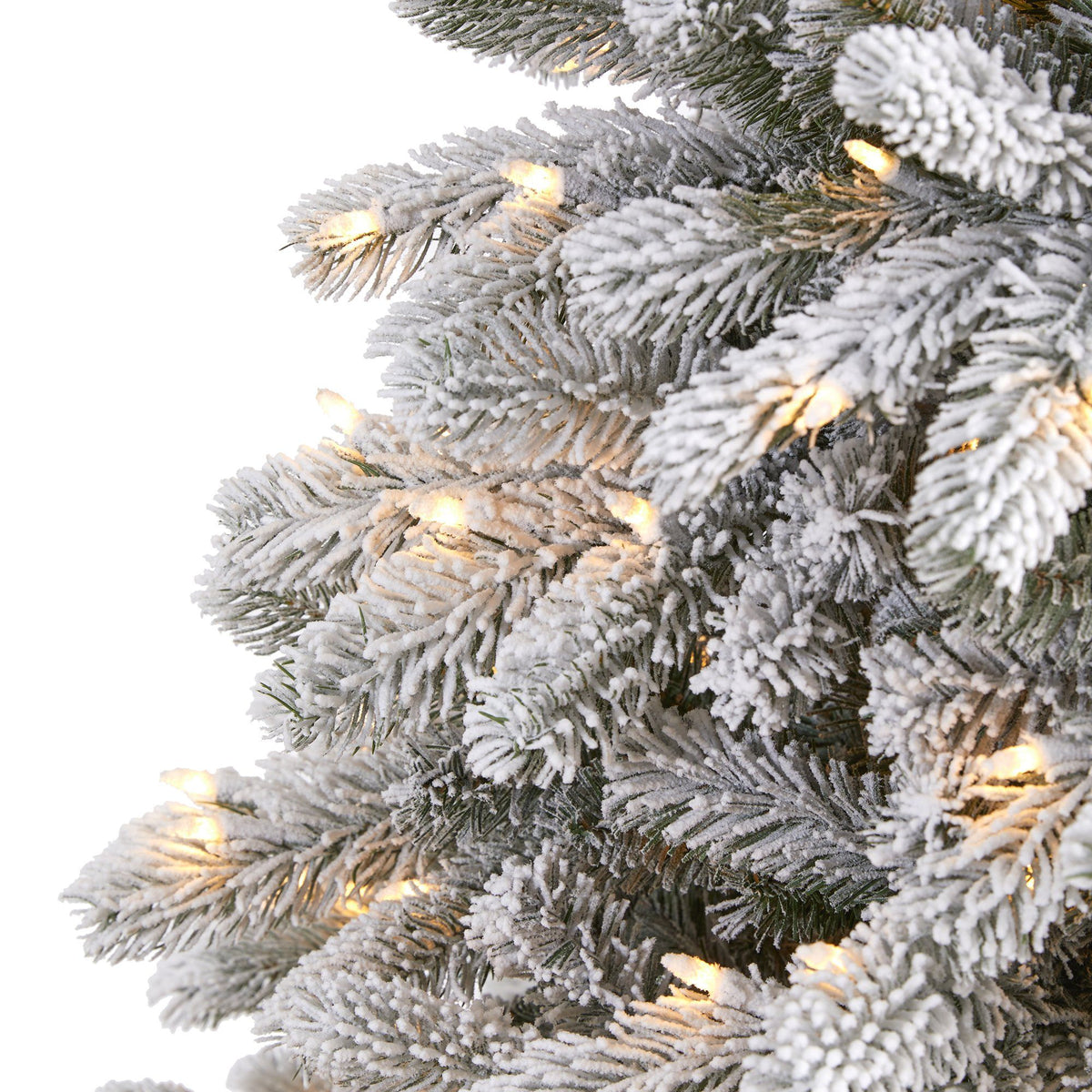 a close up of a christmas tree