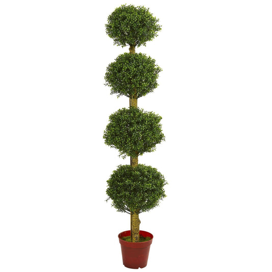 a tall plant in a pot