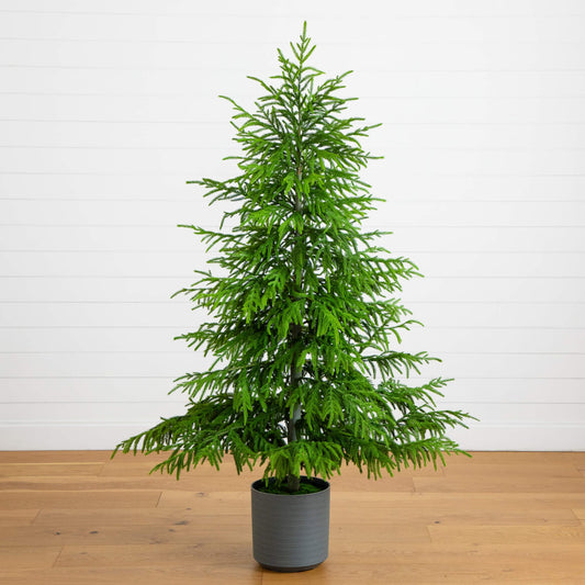 6' Artificial Real Touch Norfolk Island Pine Christmas Tree with Natural Look