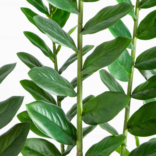 6' Artificial Zamioculcas Plant