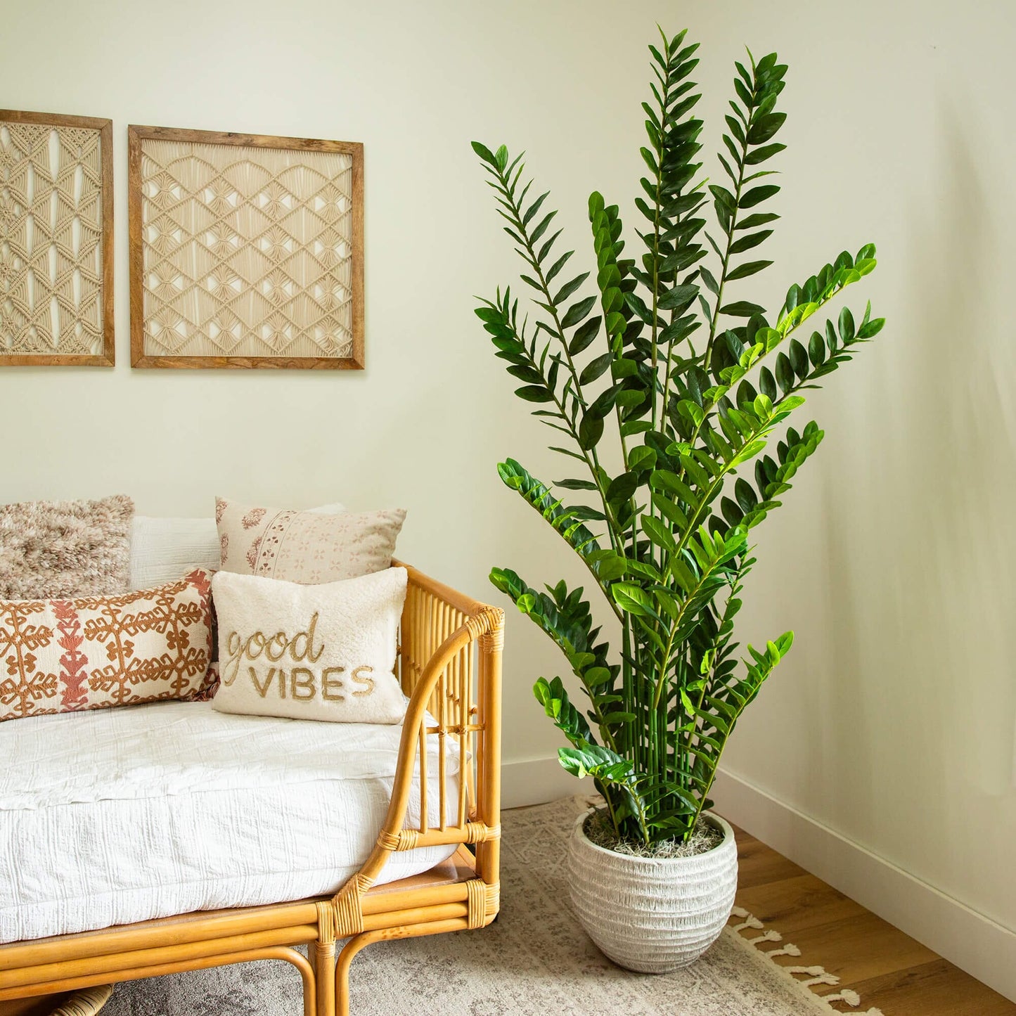 6' Artificial Zamioculcas Plant