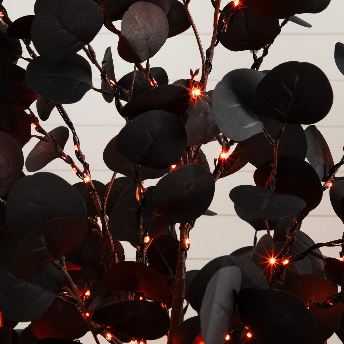 a black leaves with lights