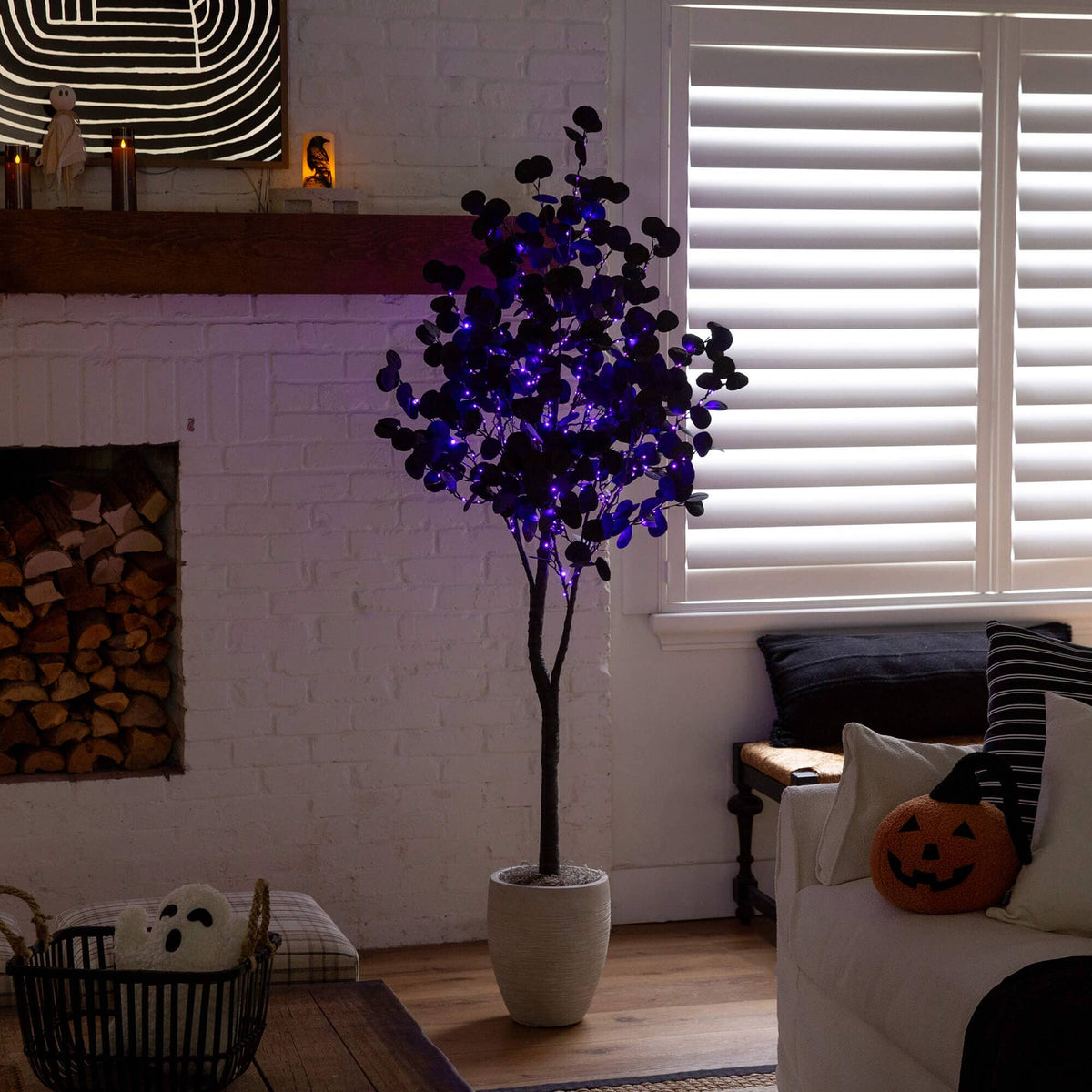 a tree in a room