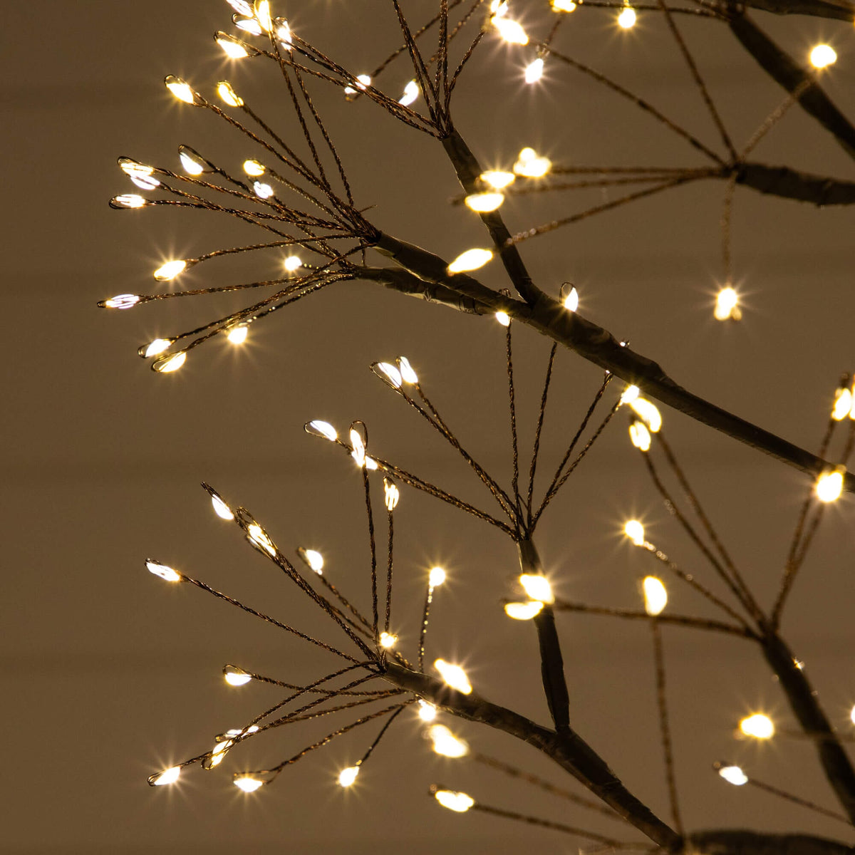 a tree with lights on it
