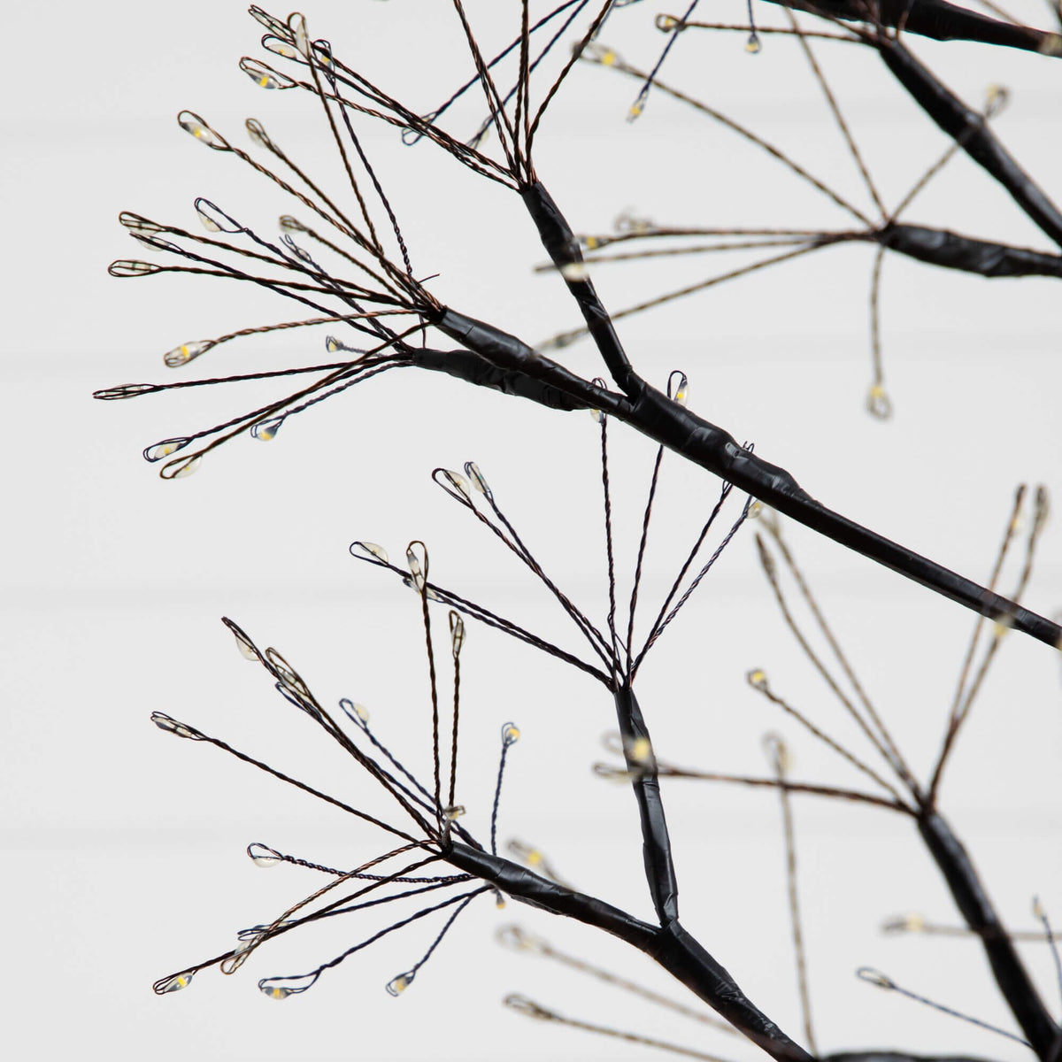 a close up of a tree branch