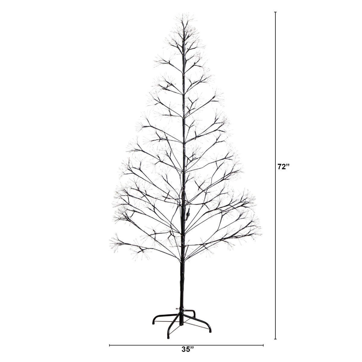 a tree with a height of the size