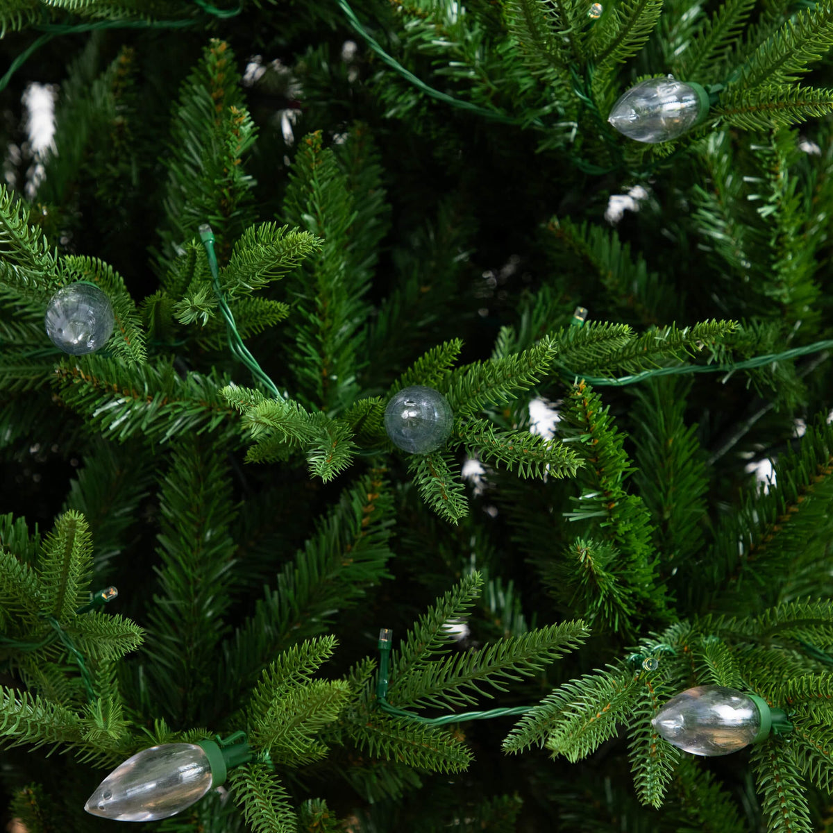 a close up of a tree