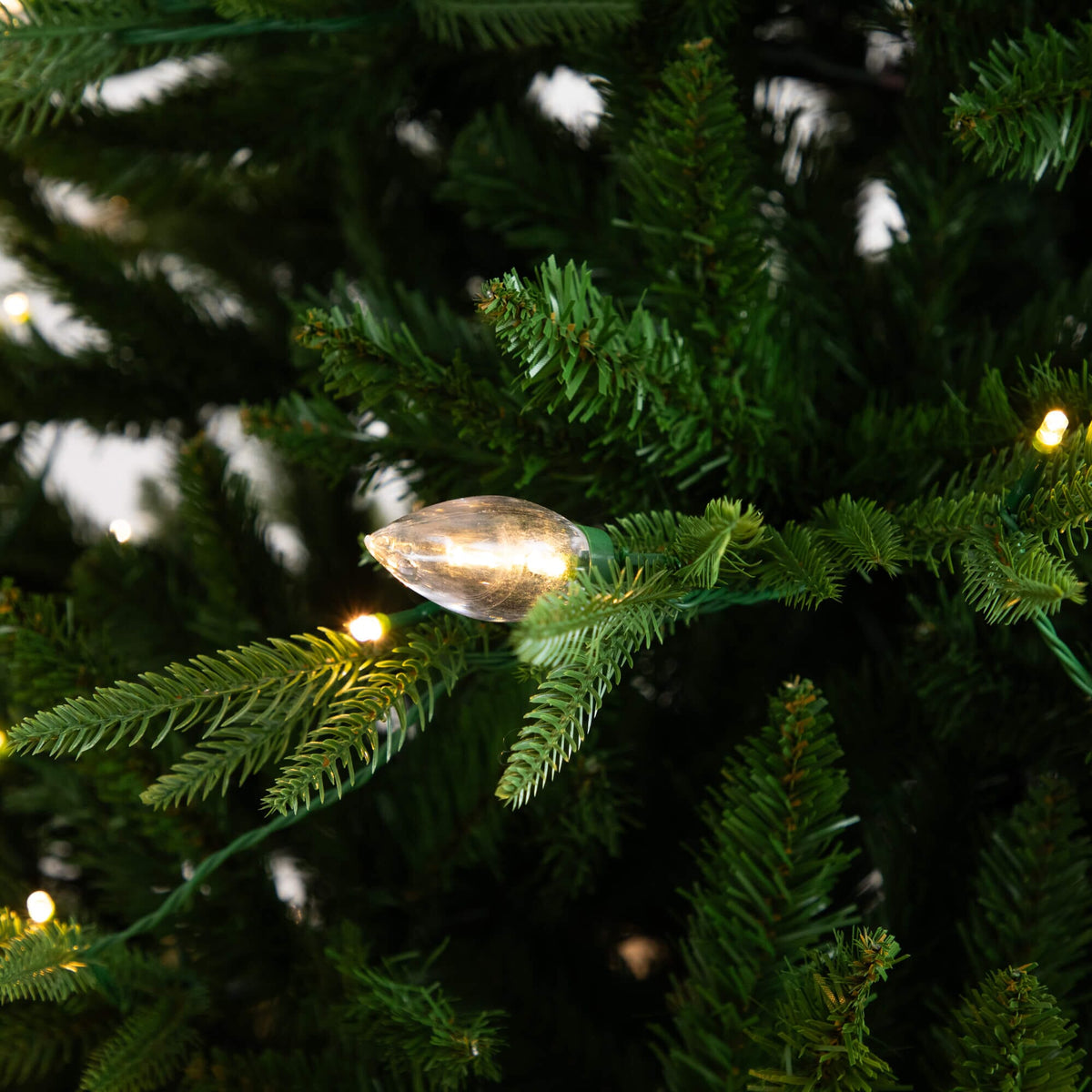 a christmas tree with lights