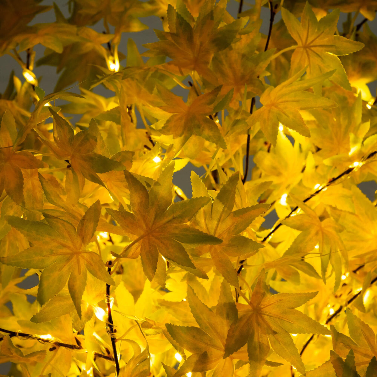 a tree with yellow leaves and lights