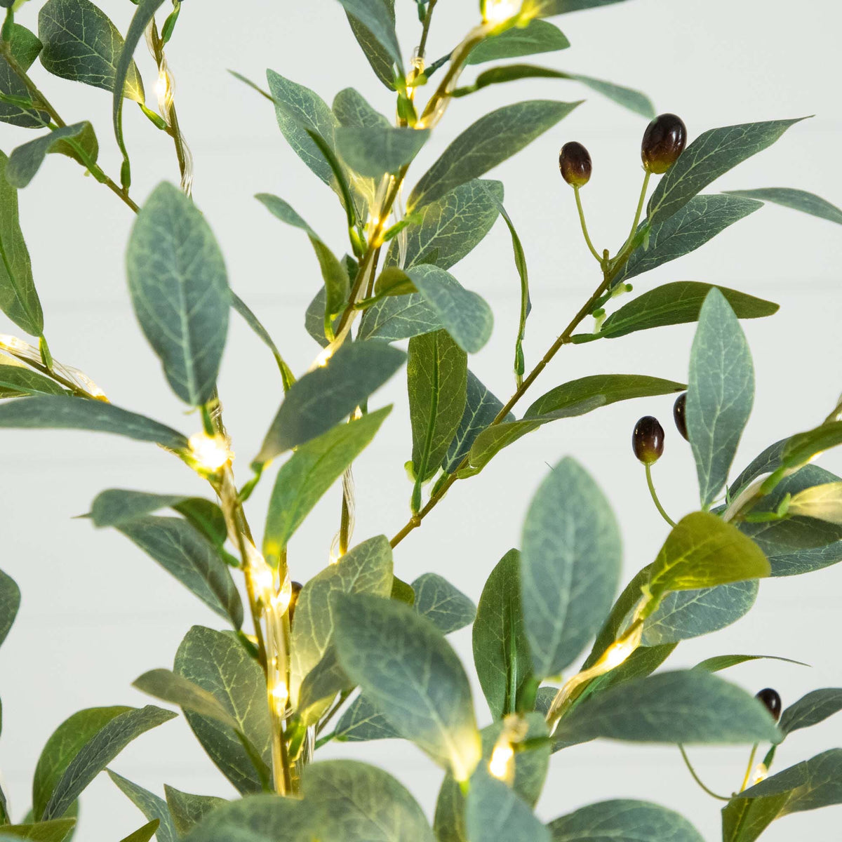 a plant with lights on it