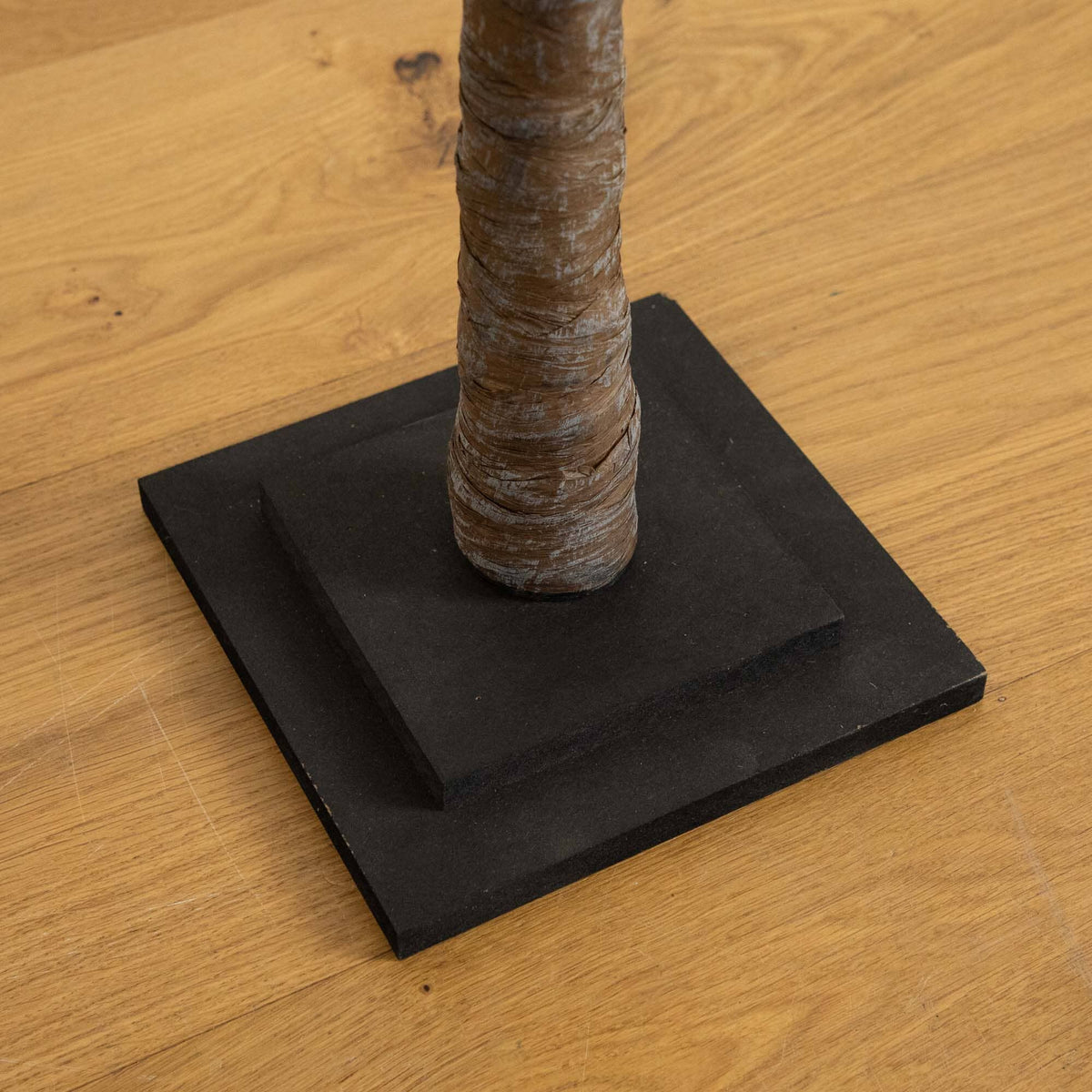 a tree trunk on a black square