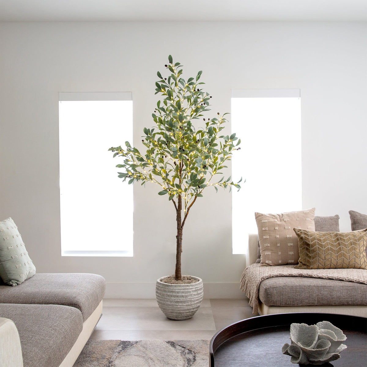 a room with a tree in it
