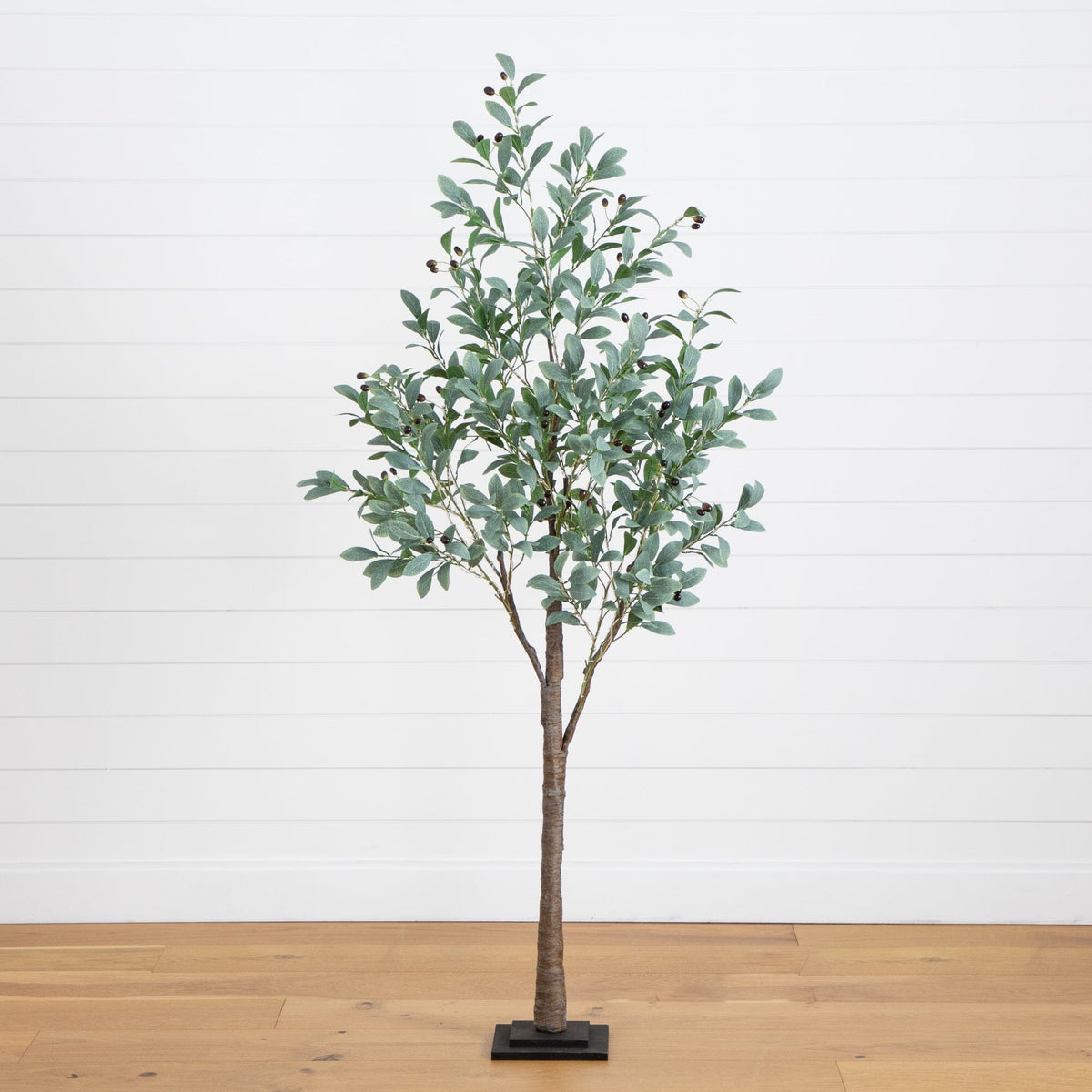 a tree in a room
