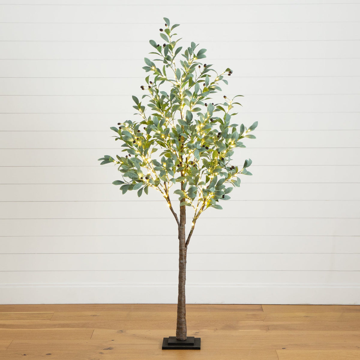 a tree with lights on it