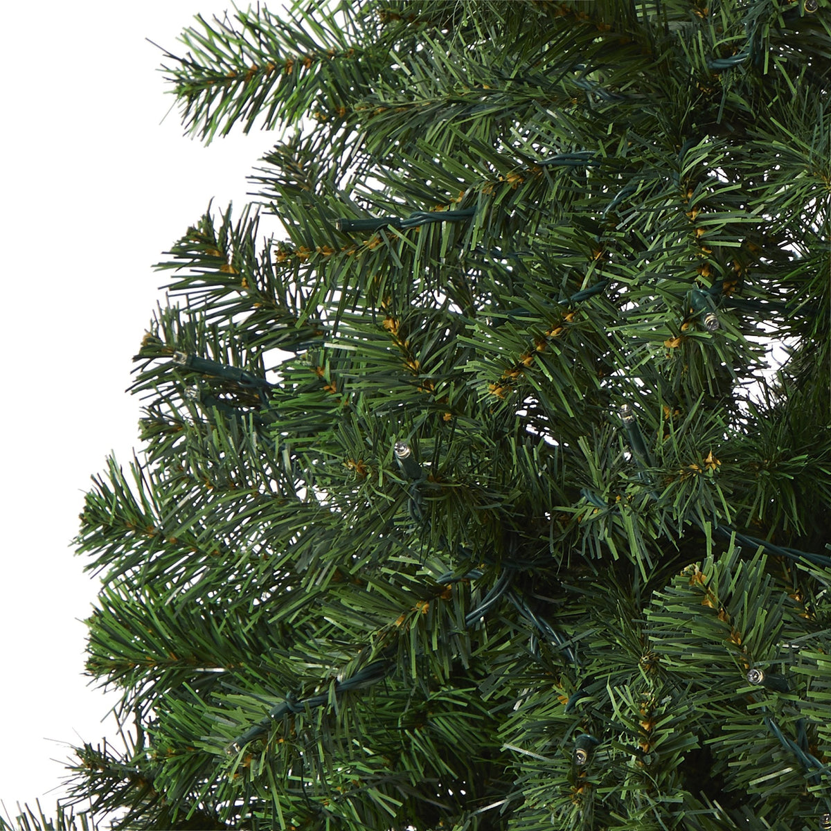 a close up of a tree