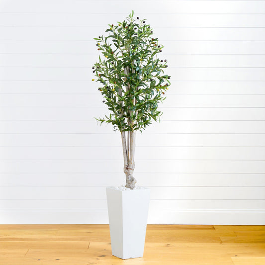 a plant in a white pot