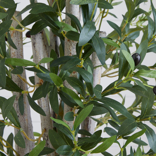 a close up of a plant