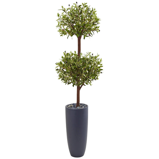 a plant in a pot
