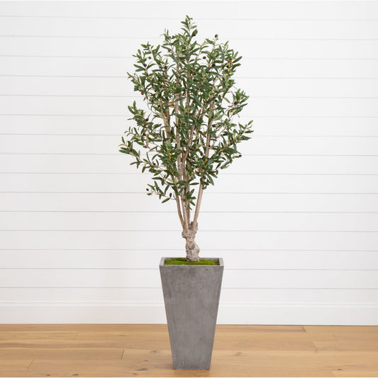 a plant in a pot