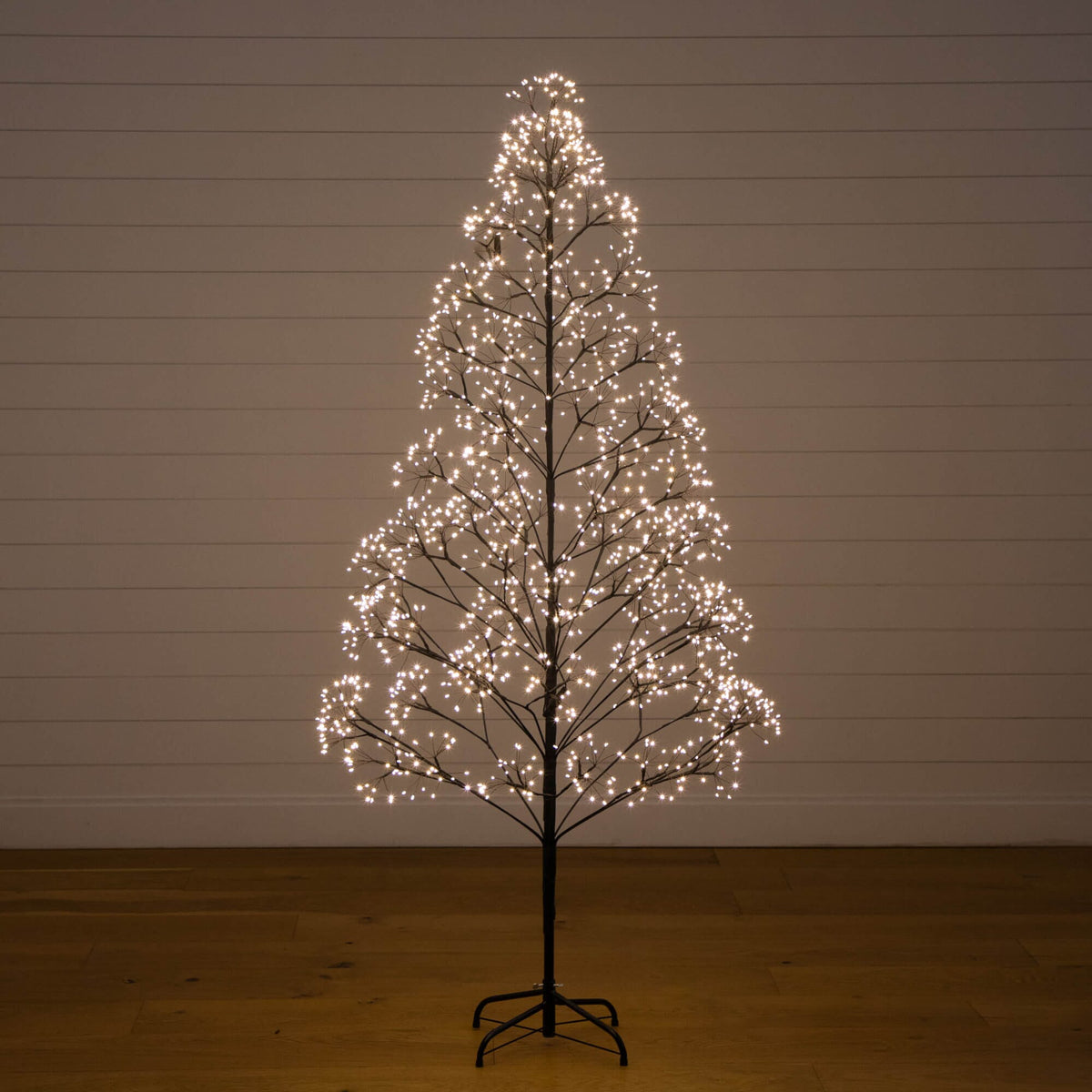 a tree with lights on it