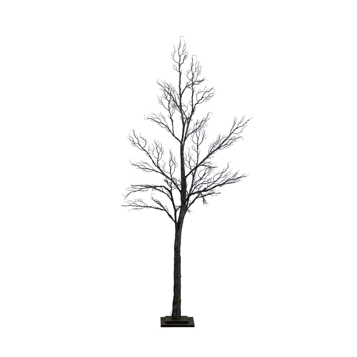 a tree without leaves