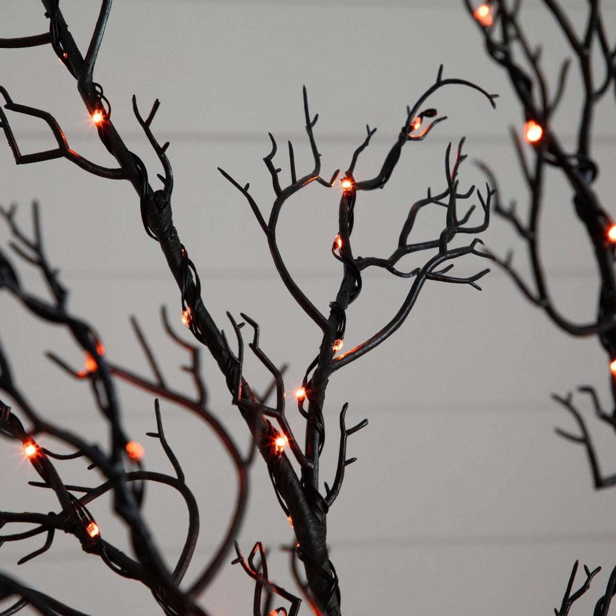 a tree with lights on it