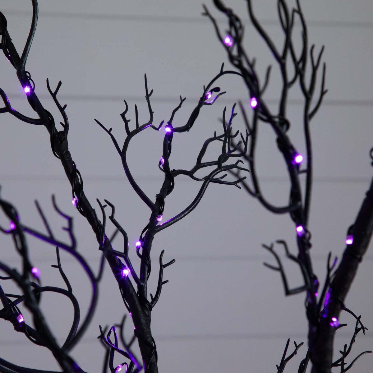 a tree with purple lights