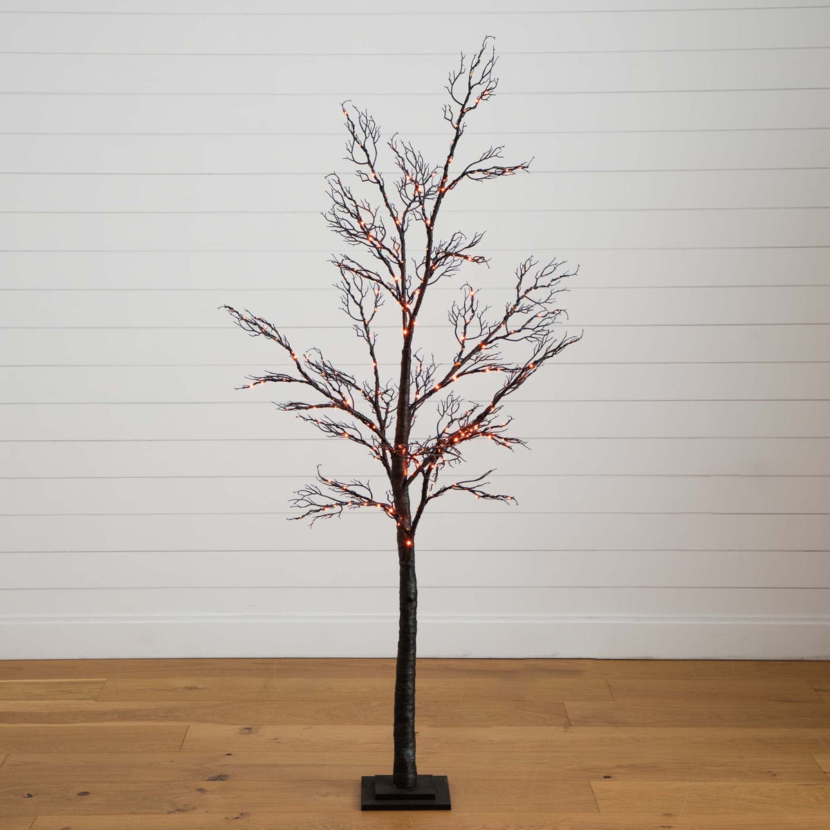 a tree with lights on it