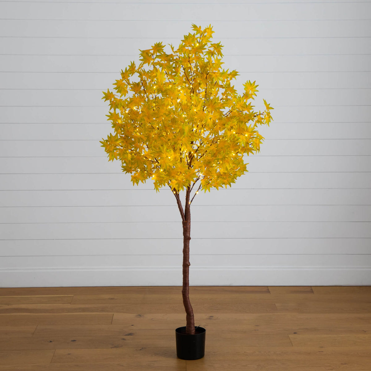 a tree with yellow leaves in a pot