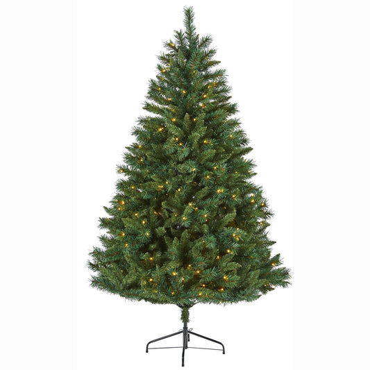 a christmas tree with lights