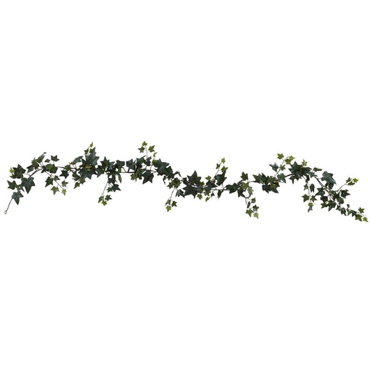 a green ivy on a white background