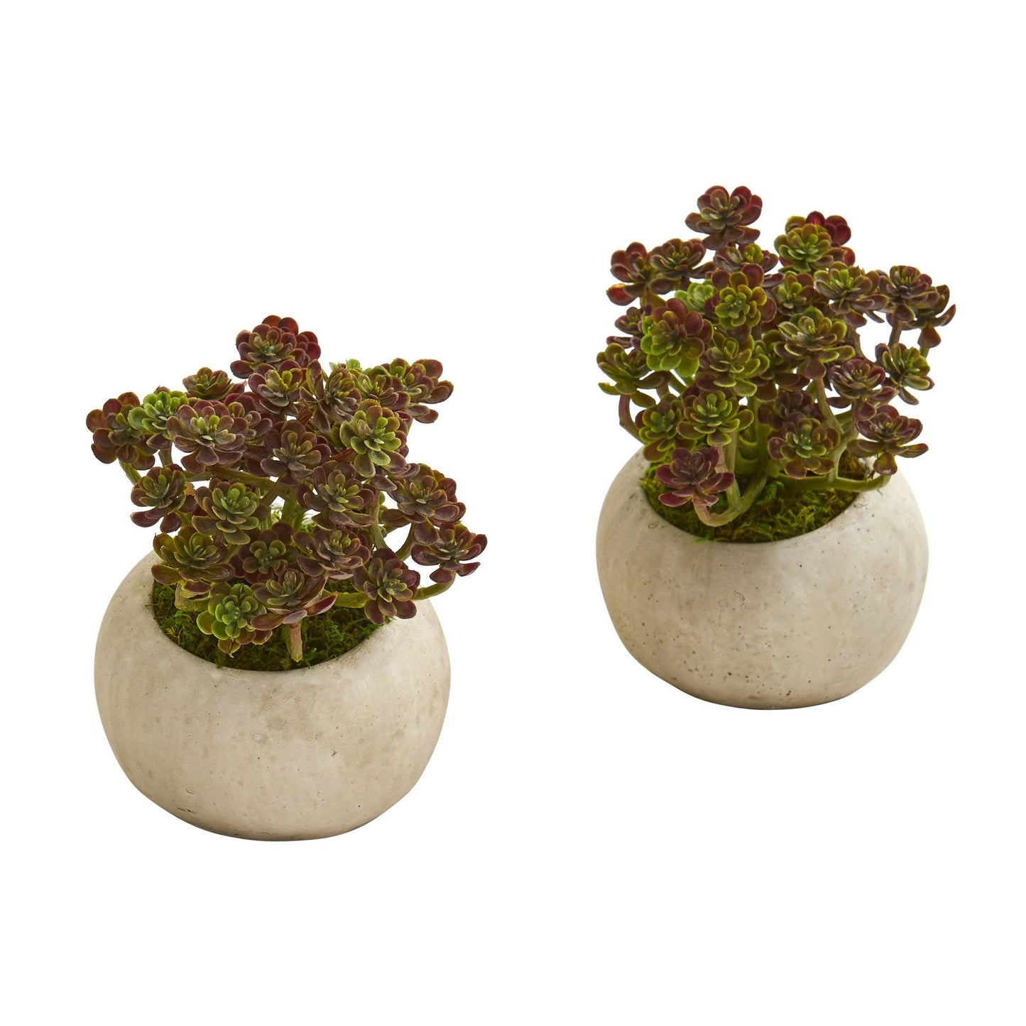 6” Sedum Succulent Artificial Plant in Stone Planter (Set of 2)