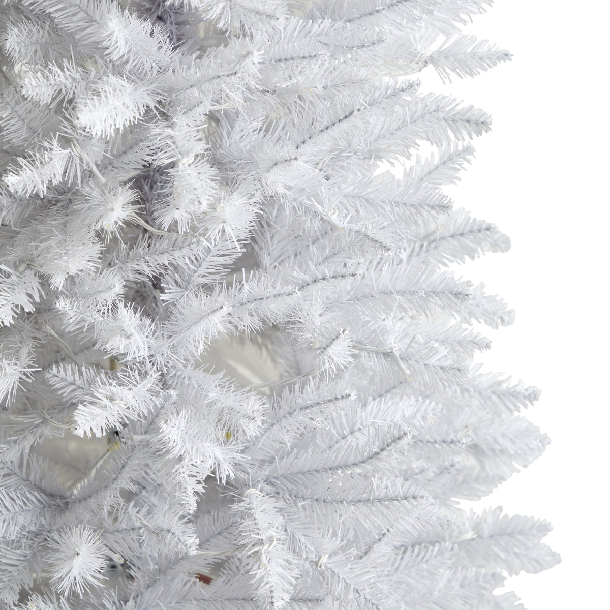 a close up of a white tree