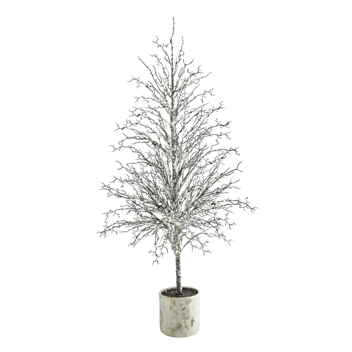 a tree in a pot