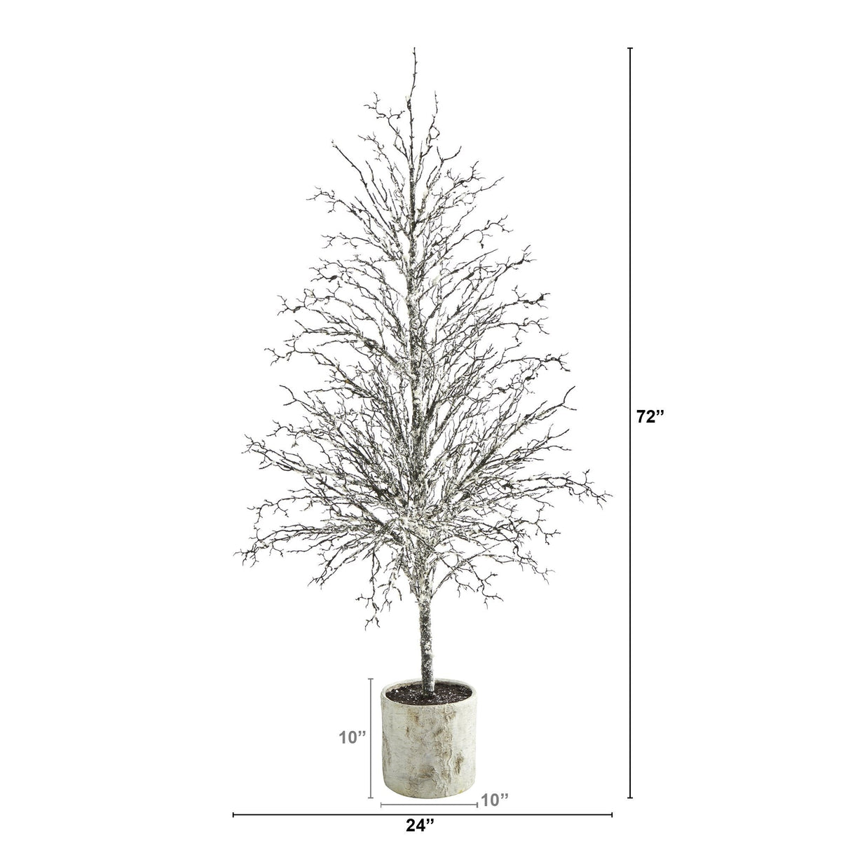 a tall tree in a pot