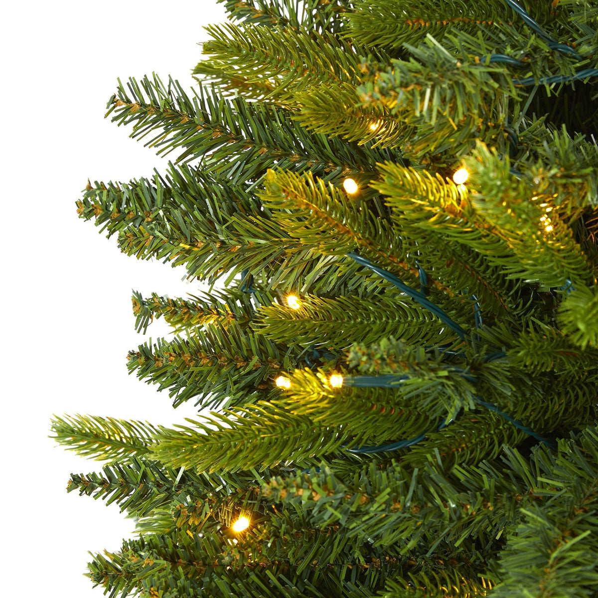 a close up of a christmas tree