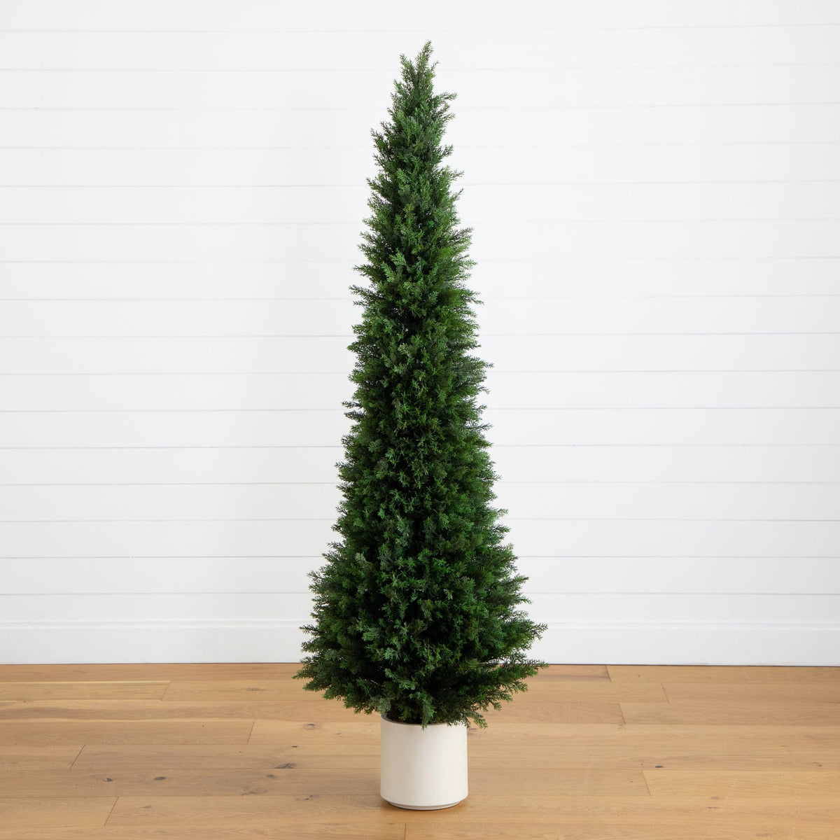a tree in a pot