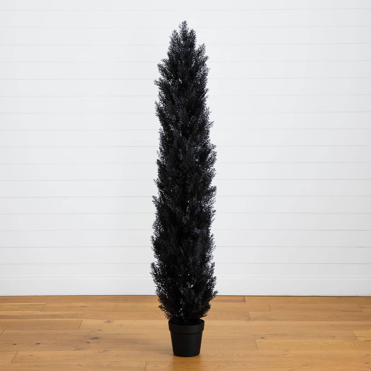 a tall black plant in a pot