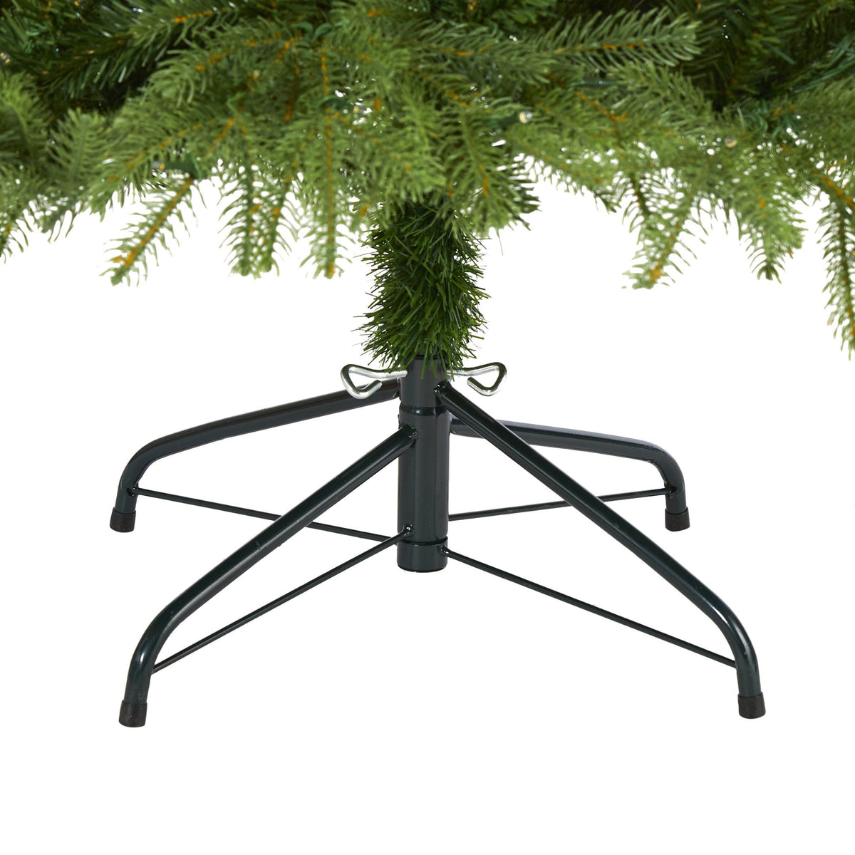 a tree with a green branch