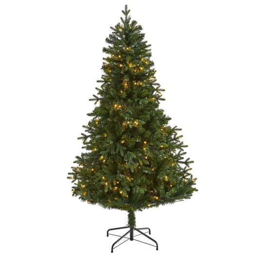 a christmas tree with lights