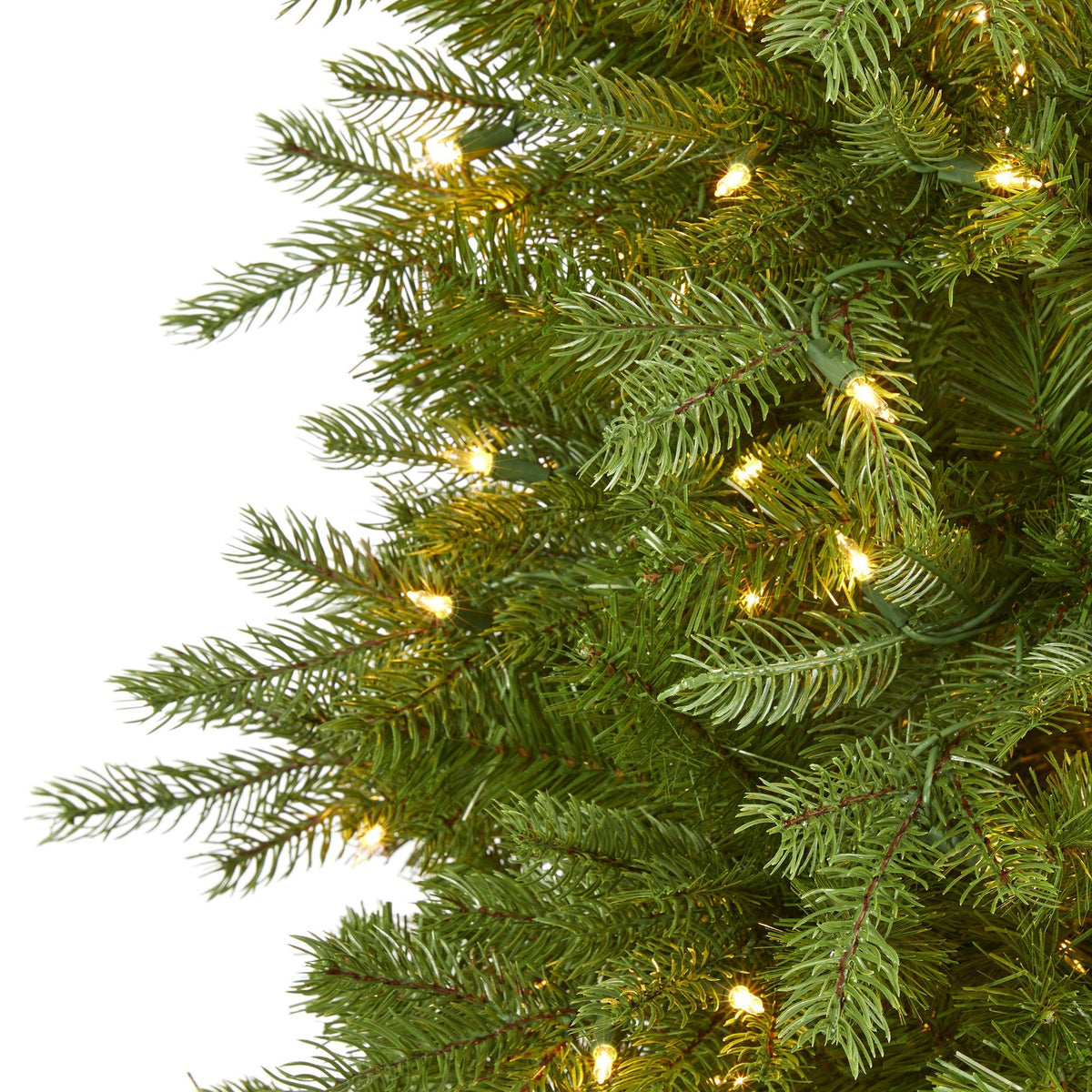 a close up of a christmas tree