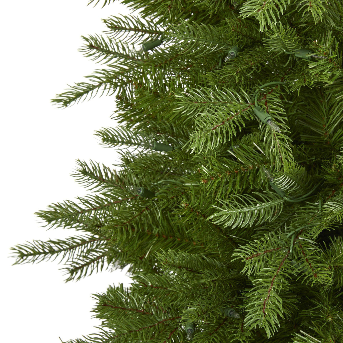 a close up of a christmas tree