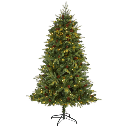 a christmas tree with lights