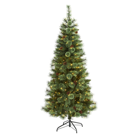 a christmas tree with lights