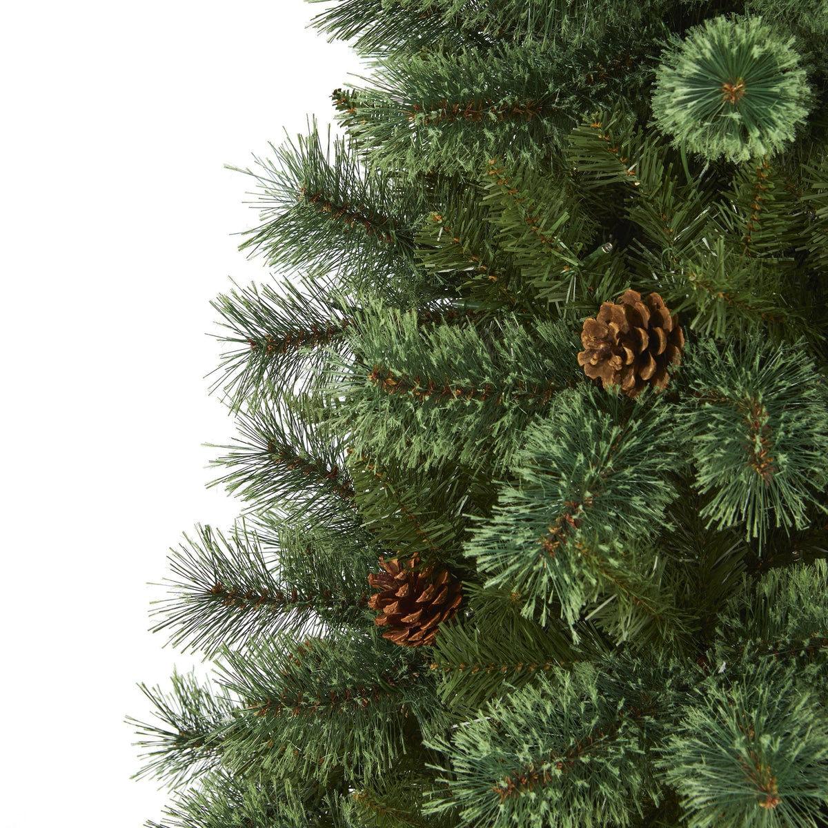 a close up of a christmas tree