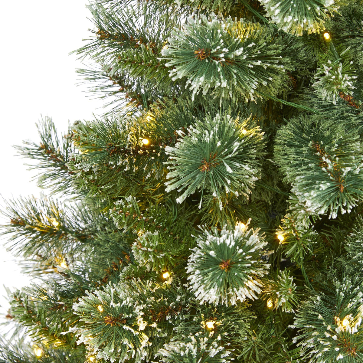 a close up of a christmas tree