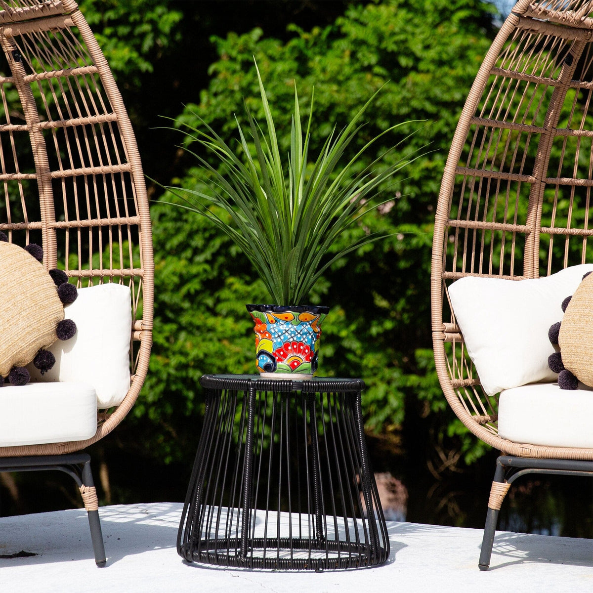 two chairs with pillows and a potted plant